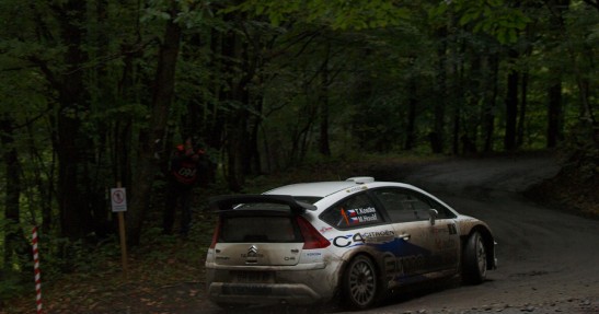 Rally Jeseniky